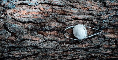A white mask hangs off a tree branch in a forest - closeup. Due to insufficient face mask during the Covid-19 crisis. Corona virus quarantine.の写真素材