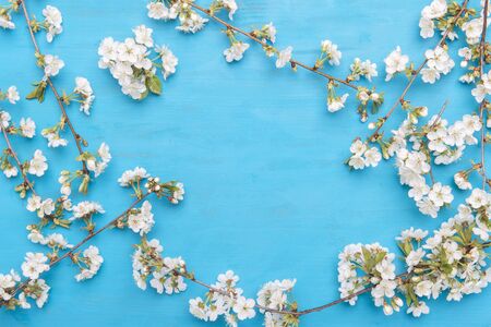Spring Cherry Blossom On blue Wooden Background
の写真素材