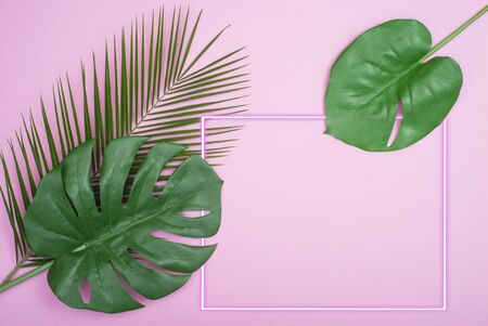 Green Palm Leaf and neon frame On Pink Backgroundの写真素材