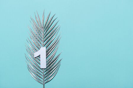 Number one shape with silver palm leaves on blue background. Summer concept. Flat lay. Top viewの写真素材
