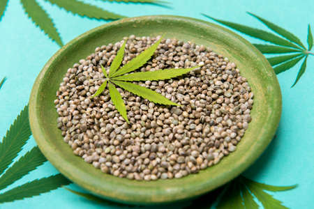 Green cannabis leaf and seeds on plate on mint color background. Vegetarian healthy foodの写真素材