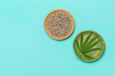 Green marijuana leaf and seeds on plate on mint color background. Medical marijuana. Concept of herbal alternative medicine, pharmaceptical industry, cbd oilの写真素材