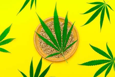 Green cannabis leaf and seeds on plate on yellow color background. Vegetarian healthy foodの写真素材