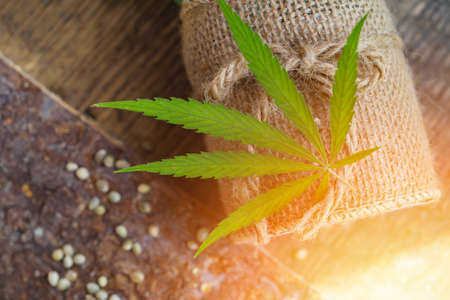 Hemp thread, medical marijuana leaves on wooden background. Using cannabis in fabric production and industryの写真素材