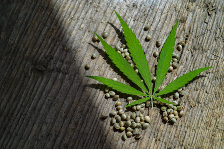 Green cannabis leaf and seeds on wooden background. Vegetarian food concept