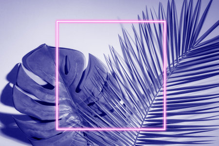 Creative fluorescent color layout made of tropical leaves. Holographic leaves. Concept art. Minimal...