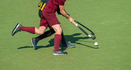Field hockeyl stadium lifestyle, green grass and hockey gate. Team sport conceptの写真素材