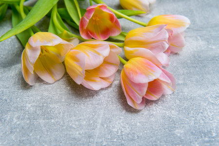 Colorful tulips on concrete background. Copy space for text. Mother's day conceptの写真素材