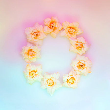 Frame with pale pink roses on holographic background. Light romantic floral design