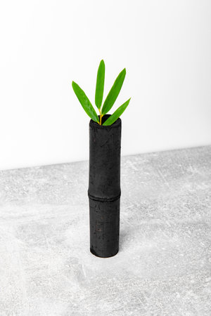 Bamboo activated charcoal sticks and green leaf isolated on white background.の写真素材