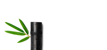 Bamboo activated charcoal stick and green leaf isolated on white background.の写真素材