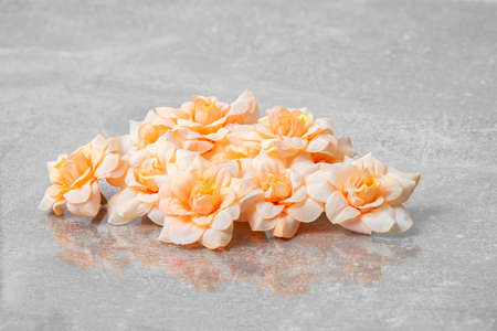 Pale pink roses on grey background. Light romantic floral designの写真素材