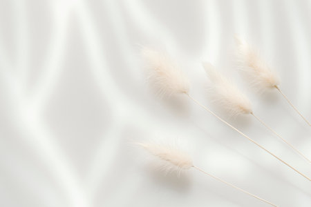 Brown bunny tail grass on grey background, copy space, dried lagurus grassの写真素材