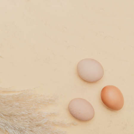 Brown dried pampas grass and eggs on natural beige background. Zero waste easter concept. Eco friendly lifestyle, copy spaceの写真素材