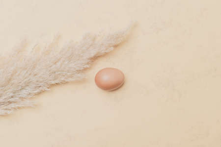 Brown dried pampas grass and egg on natural beige background. Zero waste easter concept. Eco friendly lifestyle, copy spaceの写真素材