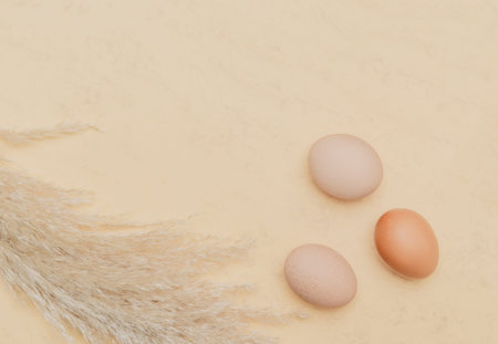 Brown dried pampas grass and eggs on natural beige background. Zero waste easter concept. Eco...