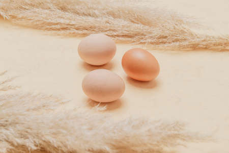 Brown dried pampas grass and eggs on natural beige background. Zero waste easter concept. Eco friendly lifestyle, copy spaceの写真素材