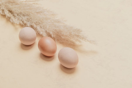 Brown dried pampas grass and eggs on natural beige background. Zero waste easter concept. Eco friendly lifestyle, copy spaceの写真素材