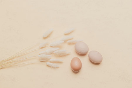 Brown dried bunny tail grass and eggs on natural beige background. Zero waste easter concept. Eco friendly lifestyle, copy spaceの写真素材