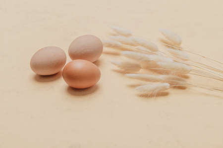 Brown dried bunny tail grass and eggs on natural beige background. Zero waste easter concept. Eco friendly lifestyle, copy spaceの写真素材