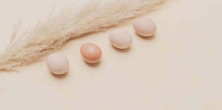 Brown dried pampas grass and eggs on natural beige background. Zero waste easter concept. Eco friendly lifestyle, copy spaceの写真素材