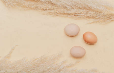 Brown dried pampas grass and eggs on natural beige background. Zero waste easter concept. Eco friendly lifestyle, copy spaceの写真素材