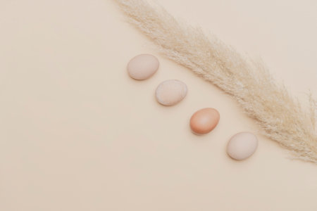 Brown dried pampas grass and eggs on natural beige background. Zero waste easter concept. Eco friendly lifestyle, copy spaceの写真素材