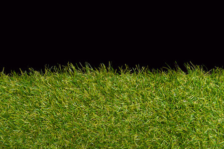 Green grass borders for decoration and covering on black background