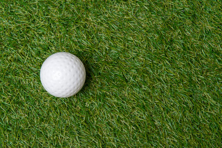 White dimple hockey ball on green grass. Professional sport conceptの写真素材