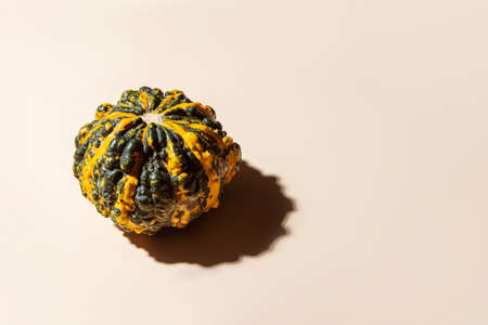 Halloween  and autumn pumpkin on a beige background. Horizontal holyday autumn poster, greeting cards, headers, website. Minimalism conceptの写真素材