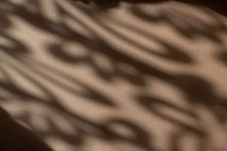 Illuminated abstract wall. Shadows on brown background. Horizontal creative poster, greeting cards, headers, website and appの写真素材