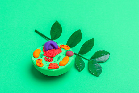 Model of plant cell on green background. Green world and education concept