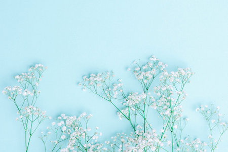 White gypsophila flowers on pastel blue background. Horizontal holiday theme poster, greeting cards,...