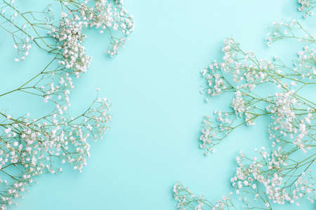 White gypsophila flowers on pastel blue background. Horizontal holiday theme poster, greeting cards, headers, website and appの写真素材