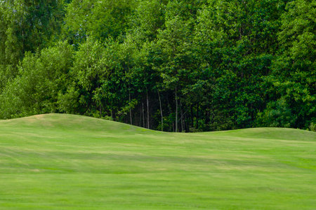 Grass sport field background. Horizontal sport and golf club, course theme poster, greeting cards, headers, website and appの写真素材