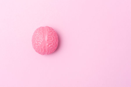 Brain on the pink backgroundの写真素材