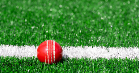 Cricket red ball with natural lighting on green grass. Horizontal sport theme poster, greeting cards, headers, website and appの写真素材