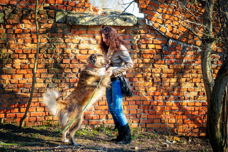 Young woman playing with Caucasian shepherd in a delightful spring dayの写真素材