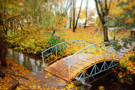 The city is across the river in the park in a wonderful autumn dayの写真素材