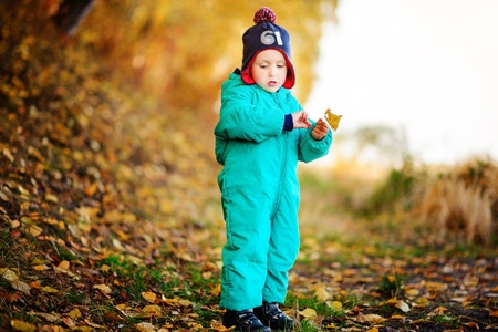 Happy cute boy with autumn leaves in the parkの写真素材