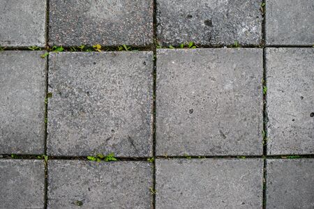 Seamless Tileable Texture of Paving Slabs, backgroundの写真素材