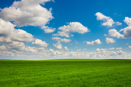 Green grass and blue sky with white clouds,backgroundの写真素材