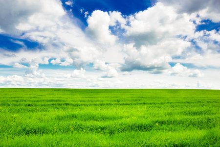 Green grass field and bright blue skyの写真素材