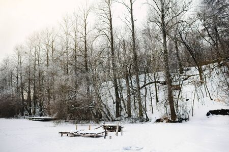 gorgeous autumn landscape with trees and snowの写真素材