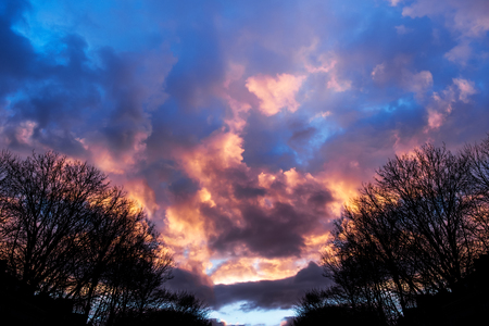 Winter snow covered forest on the background of dramatic orange sunset. Clouds illuminated by the sun.の写真素材
