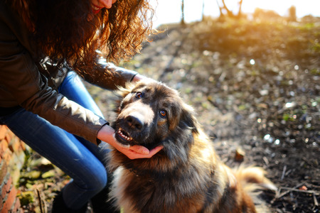 Young woman playing with Caucasian shepherd in a delightful spring dayの写真素材
