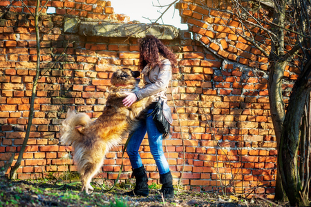 Young woman playing with Caucasian shepherd in a delightful spring dayの写真素材