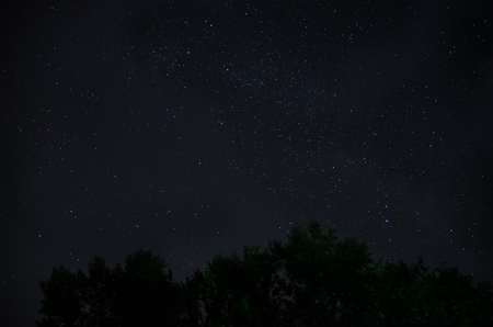 a beautiful night sky, the Milky Way and the treesの写真素材