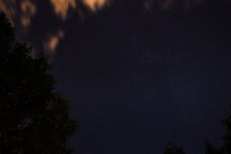 Silhouette of the forest in the night sky.