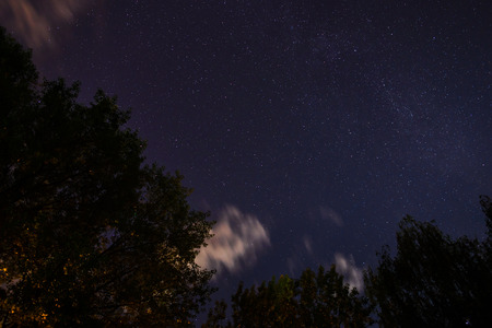 Silhouette of the forest in the night sky.の写真素材